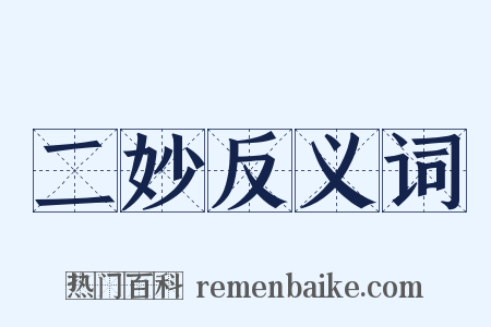 二妙反义词是什么意思的图片